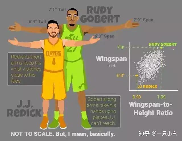 九游体育中国官网-NBA有哪些运动员拥有“非人类”的身材?