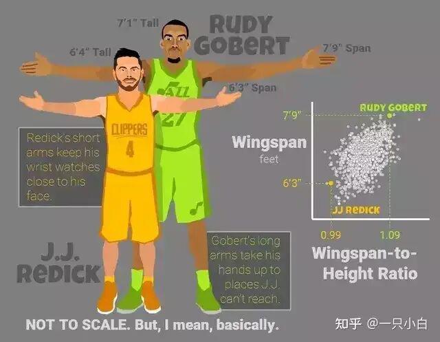 九游体育中国官网-NBA有哪些运动员拥有“非人类”的身材?