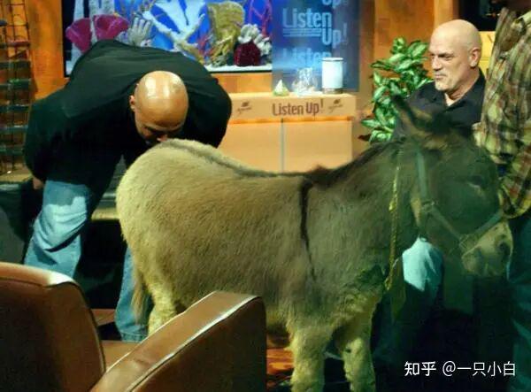 九游体育中国官网-NBA有哪些运动员拥有“非人类”的身材?